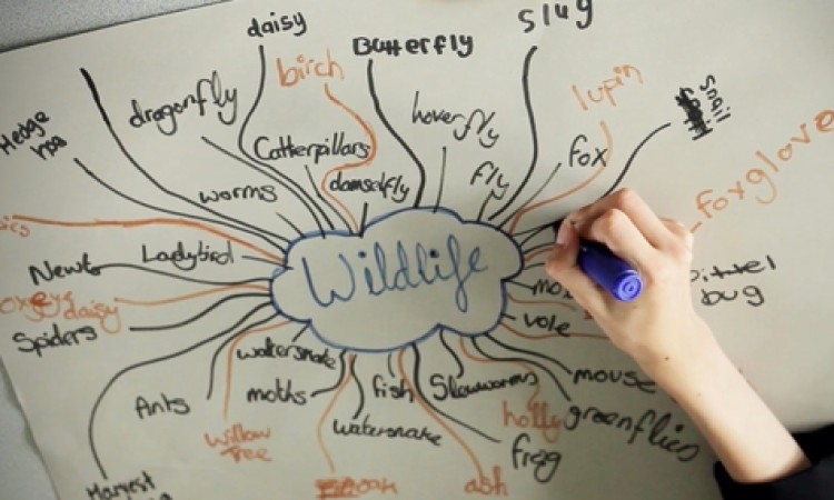 Wildlife drawing - polished project