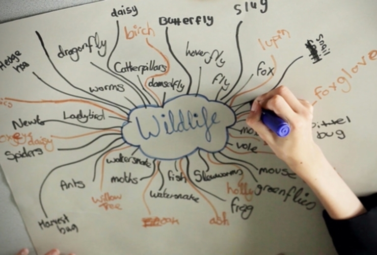 Wildlife drawing - polished project