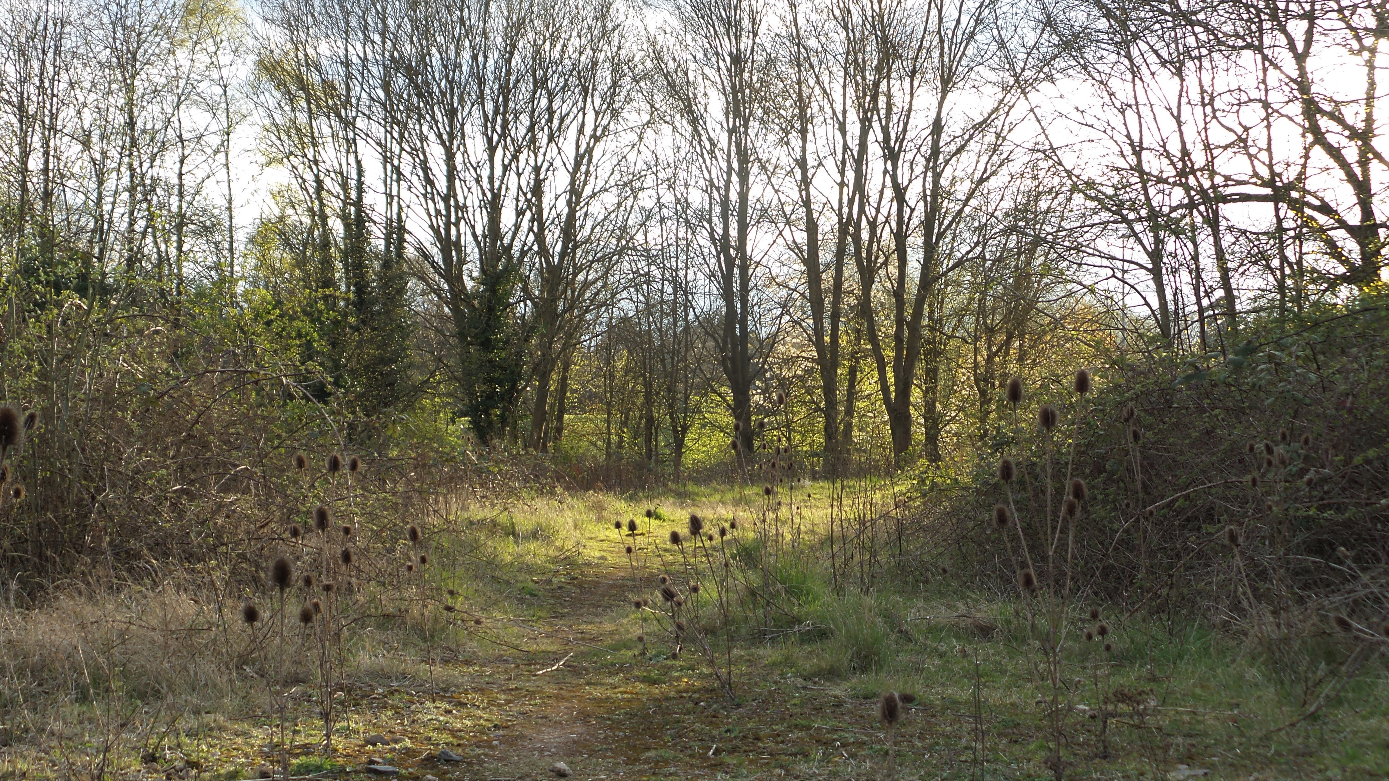 Charterhouse - Les Ward