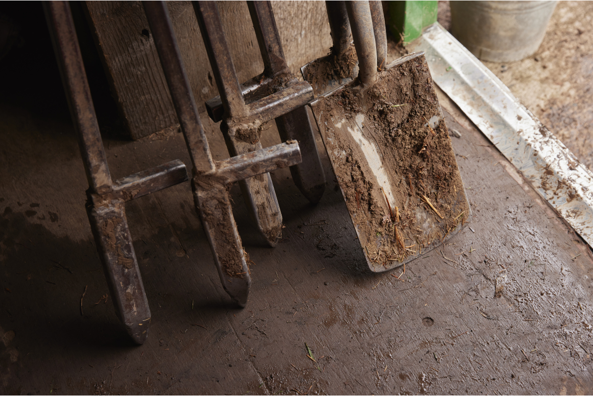 Tools for planting trees