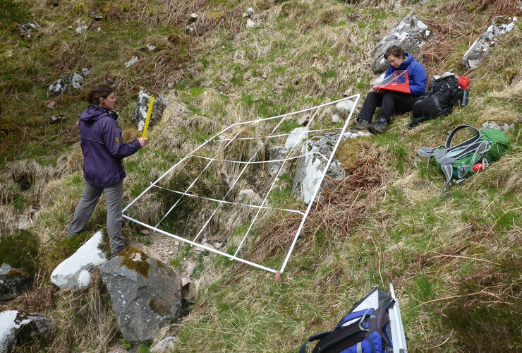 Alison Austin heath plot monitoring