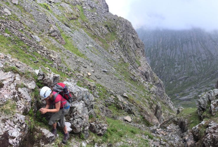Alison scouting the plant line