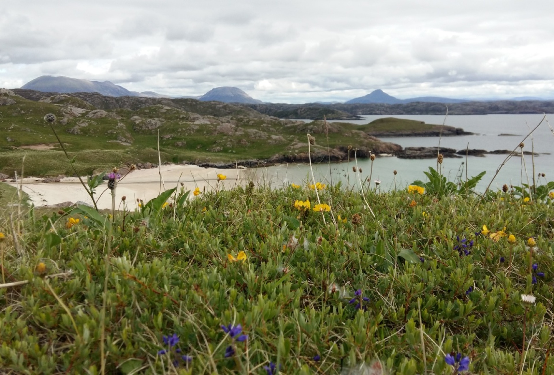 Machair at Polin - Carrie Weager