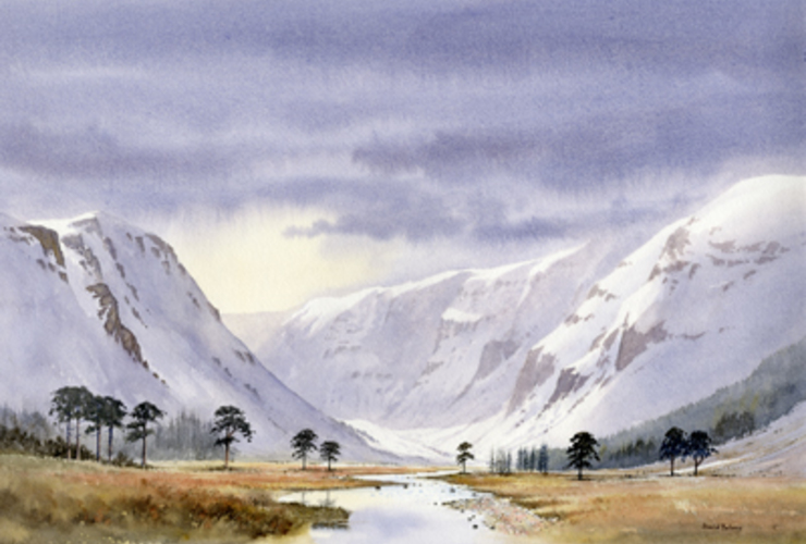 David Bellamy: Glen Feshie