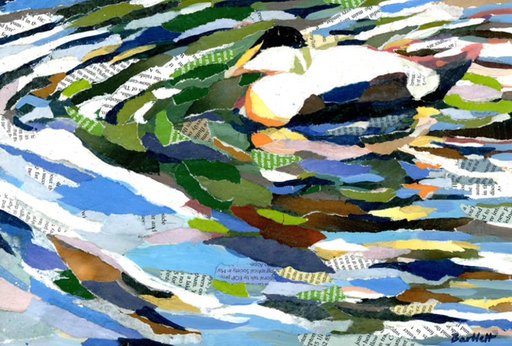 Paul Bartlett - eider 