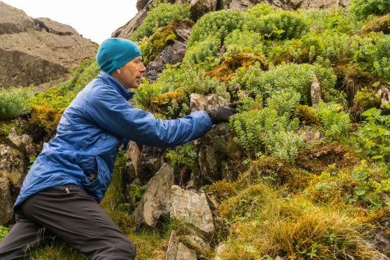 Pete at Glenridding - David Lintern