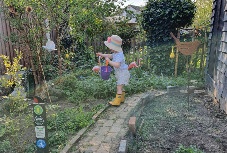 Hannah Thompson - seeding