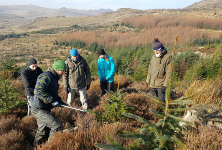 Restoring Hardknott Forest volunteers