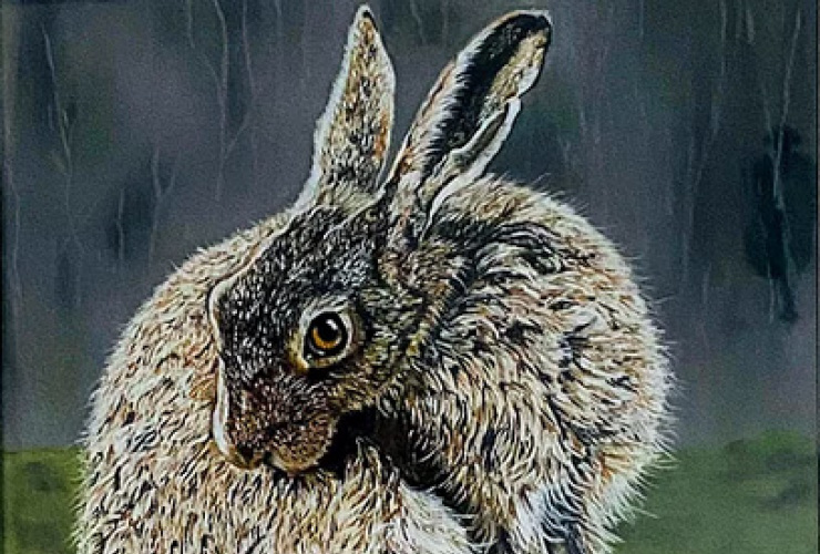 Michelle Hewitt - Hector crop