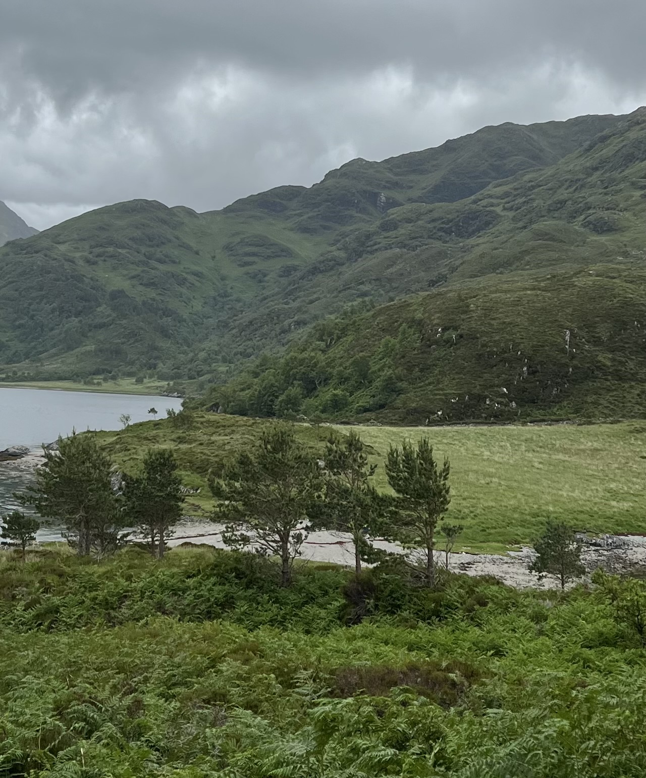 New Knoydart photo