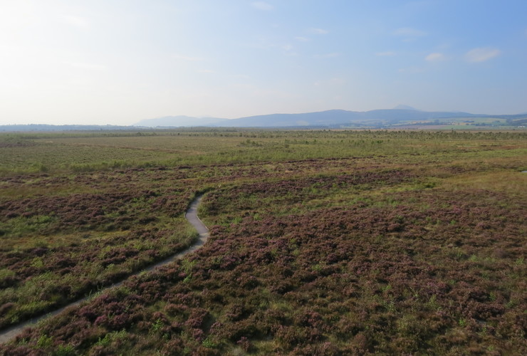 Peatland at Flanders Moss