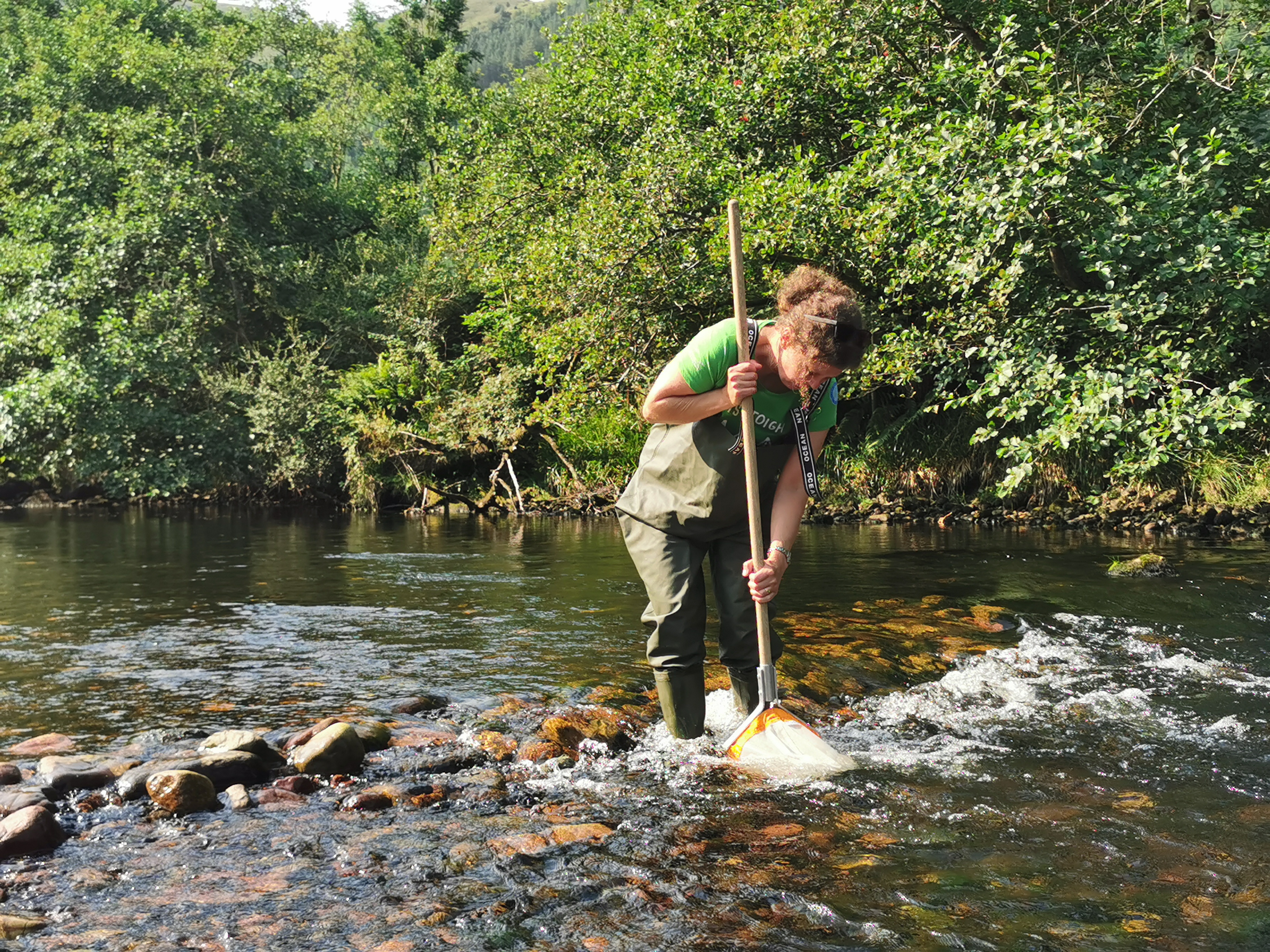 Nevis JRs - river survey