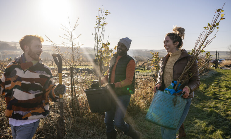 Tree planting