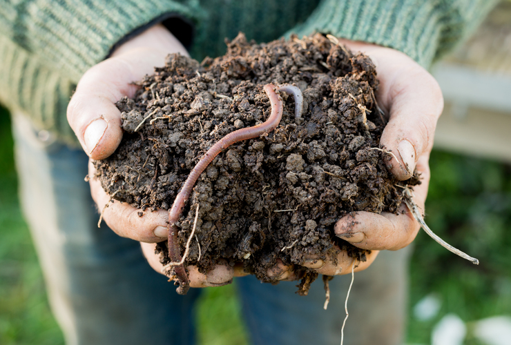 J78 - Soil for life by iStock-PhotographyFirm