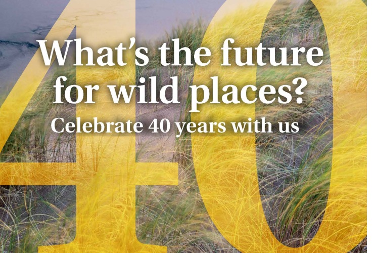 40th poster for Wild Space