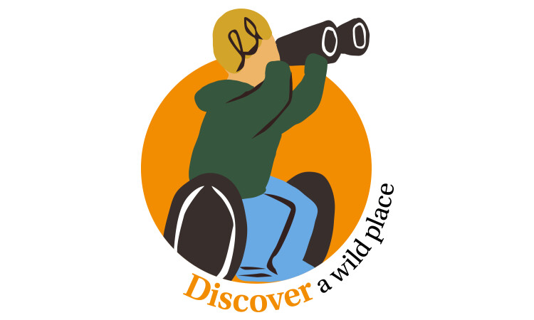 4 challenges - Discover icon