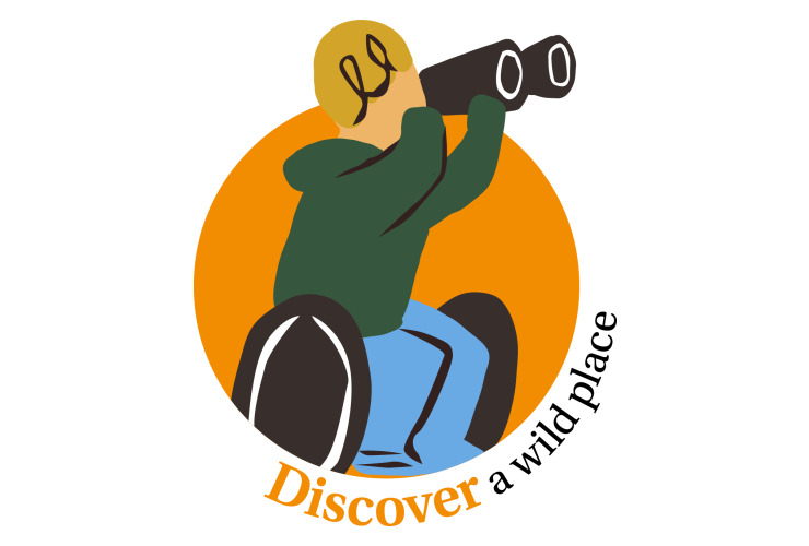 4 challenges - Discover icon