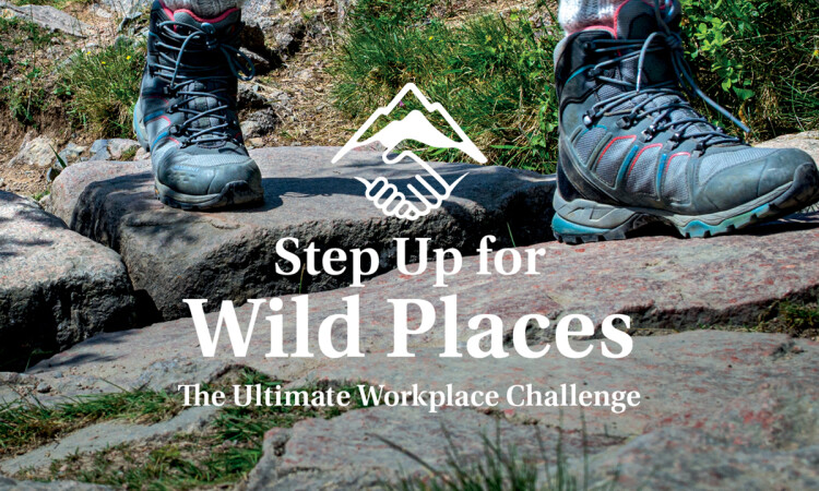Step up for wild places - general