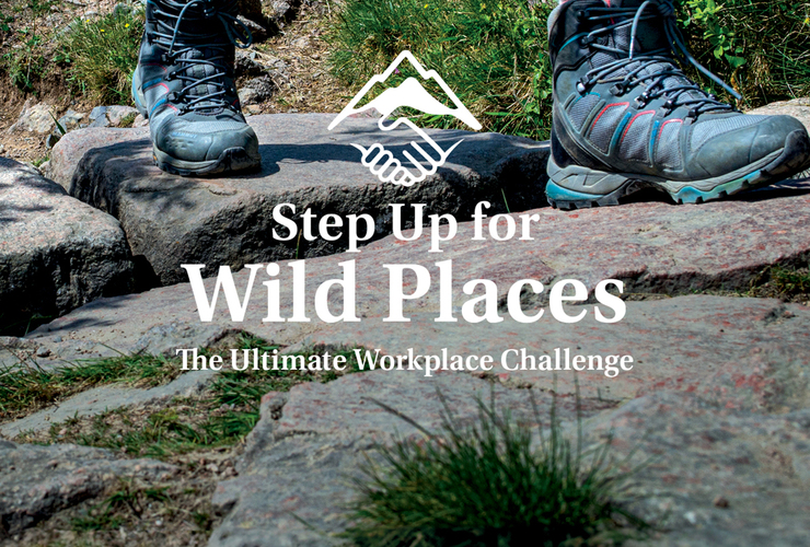 Step up for wild places - general