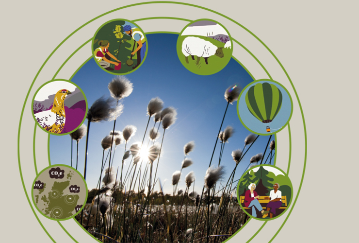 Just Transitions wheel