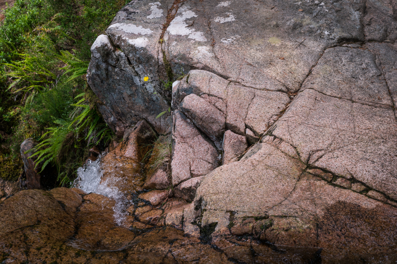 Red rock - David Lintern