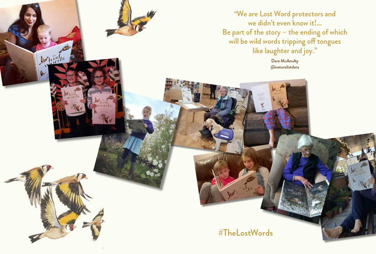 Lost Words - Explorers Guide - Spread