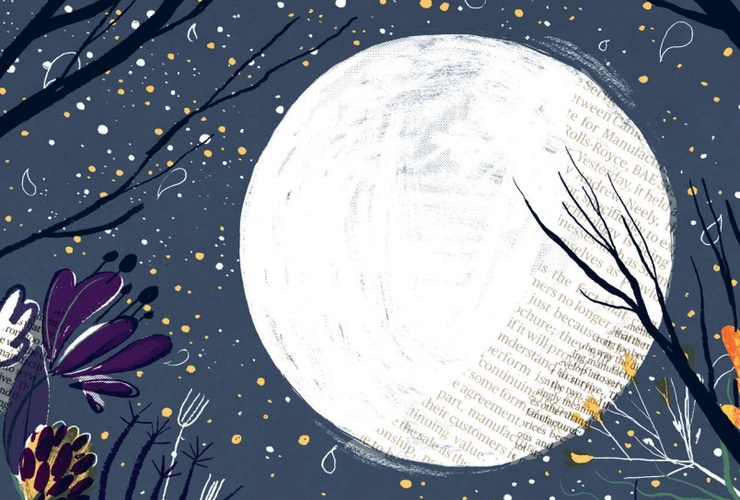 Manifesto for nature