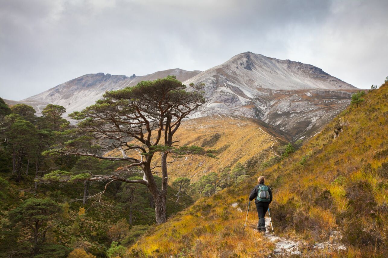 Beinn Eighe ridge, Torridon, Scotland