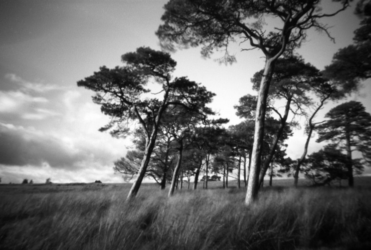 Michael Prince: Slow light