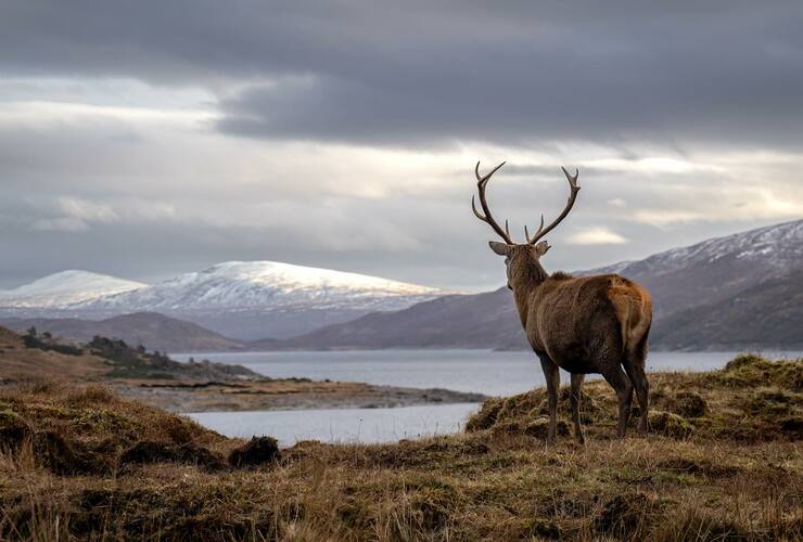 Mike Souter on location 3