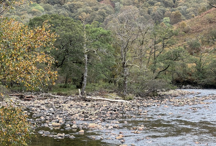 Nevis after Storm Amy 2