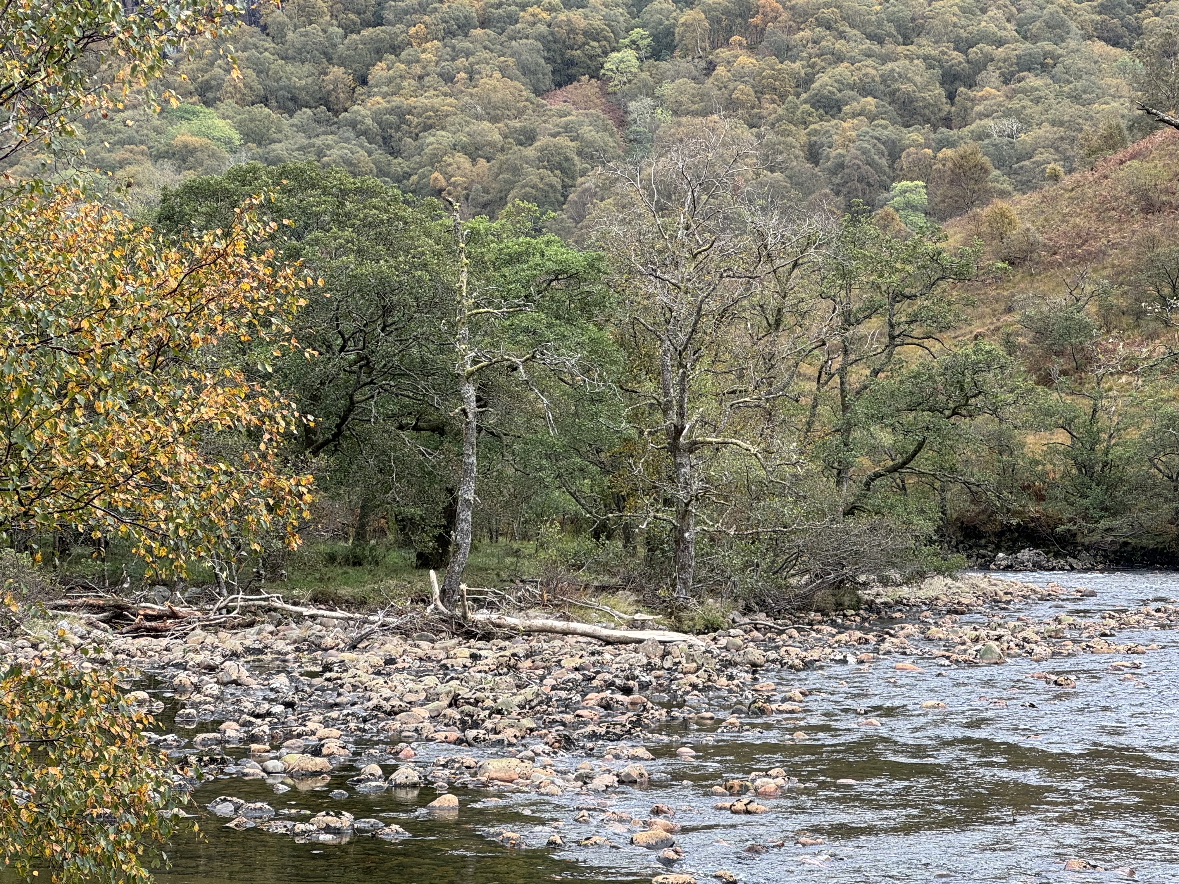 Nevis after Storm Amy 2