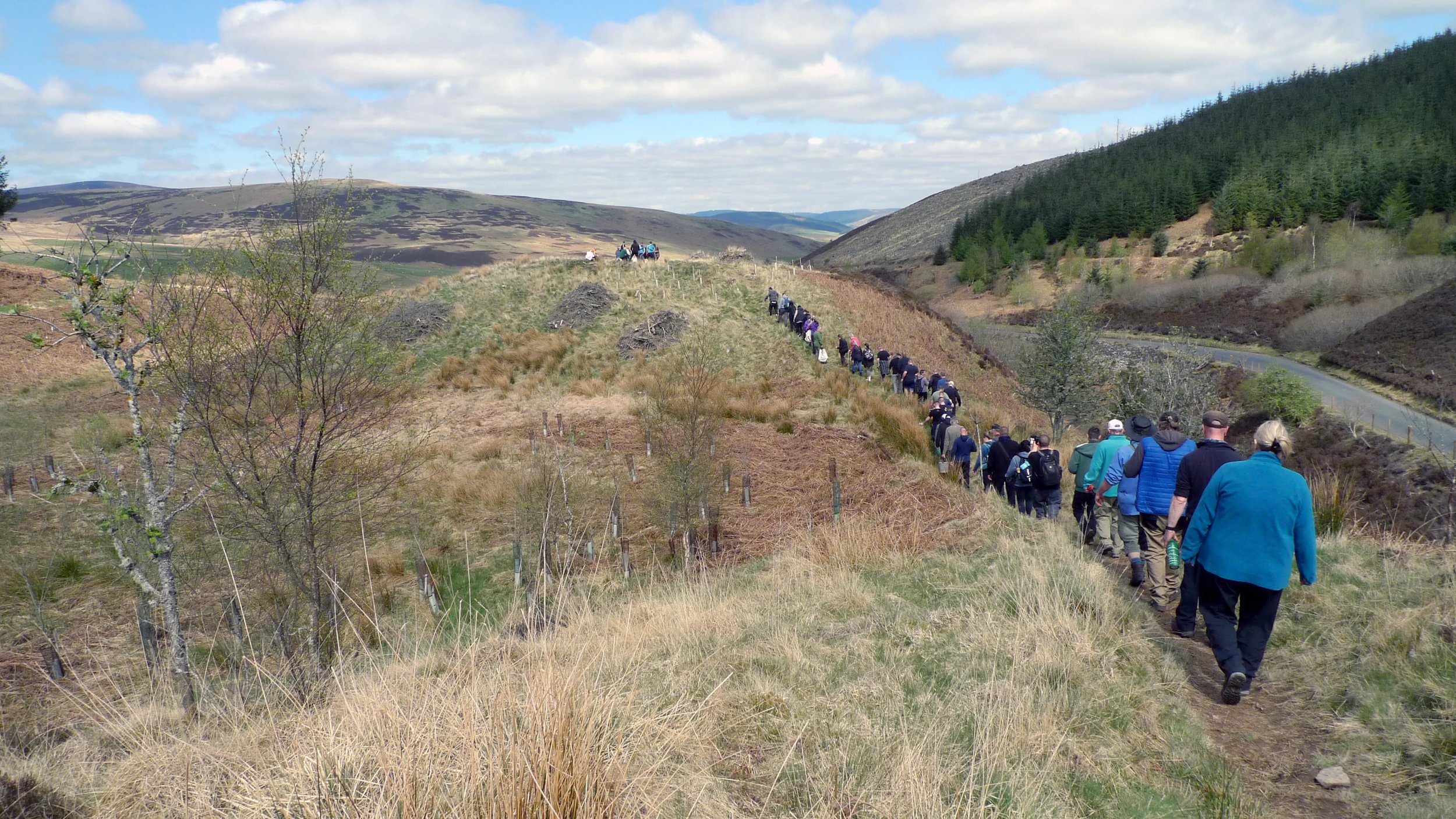 2025 Phoenix Futures planting day