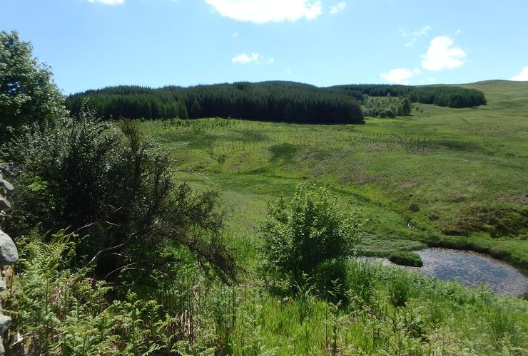 Glenlude Burn
