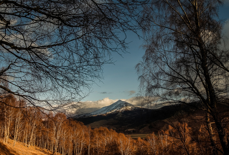 Keith Brame: Wild land