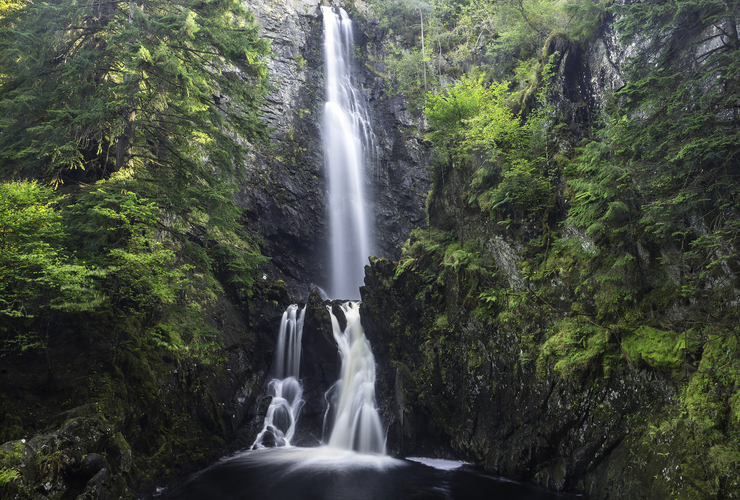 Lewis Golbourn: Walk in the Wild