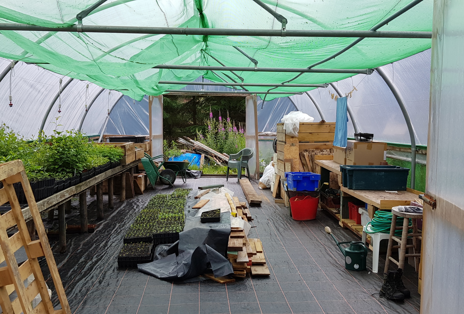 Glenlude Polytunnel
