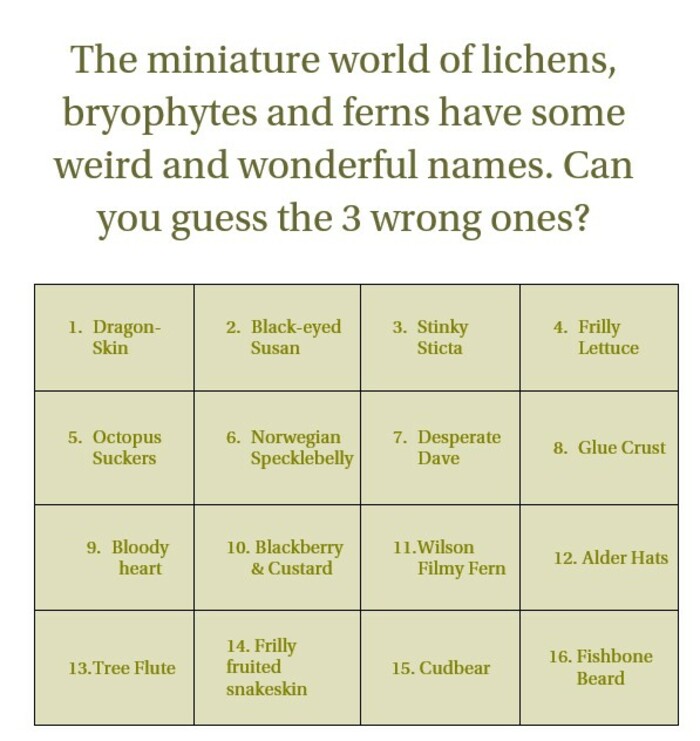 Fort William Mountain Festival 2026 - lichen quiz