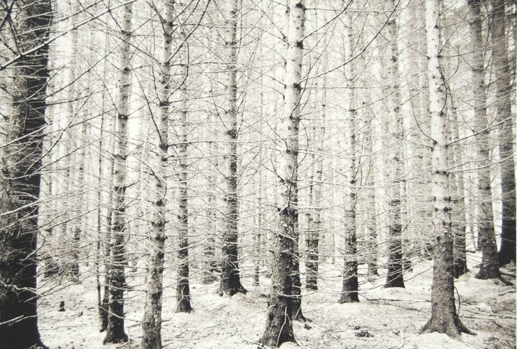 Ravi Agarwal: Nàdar / Prakriti