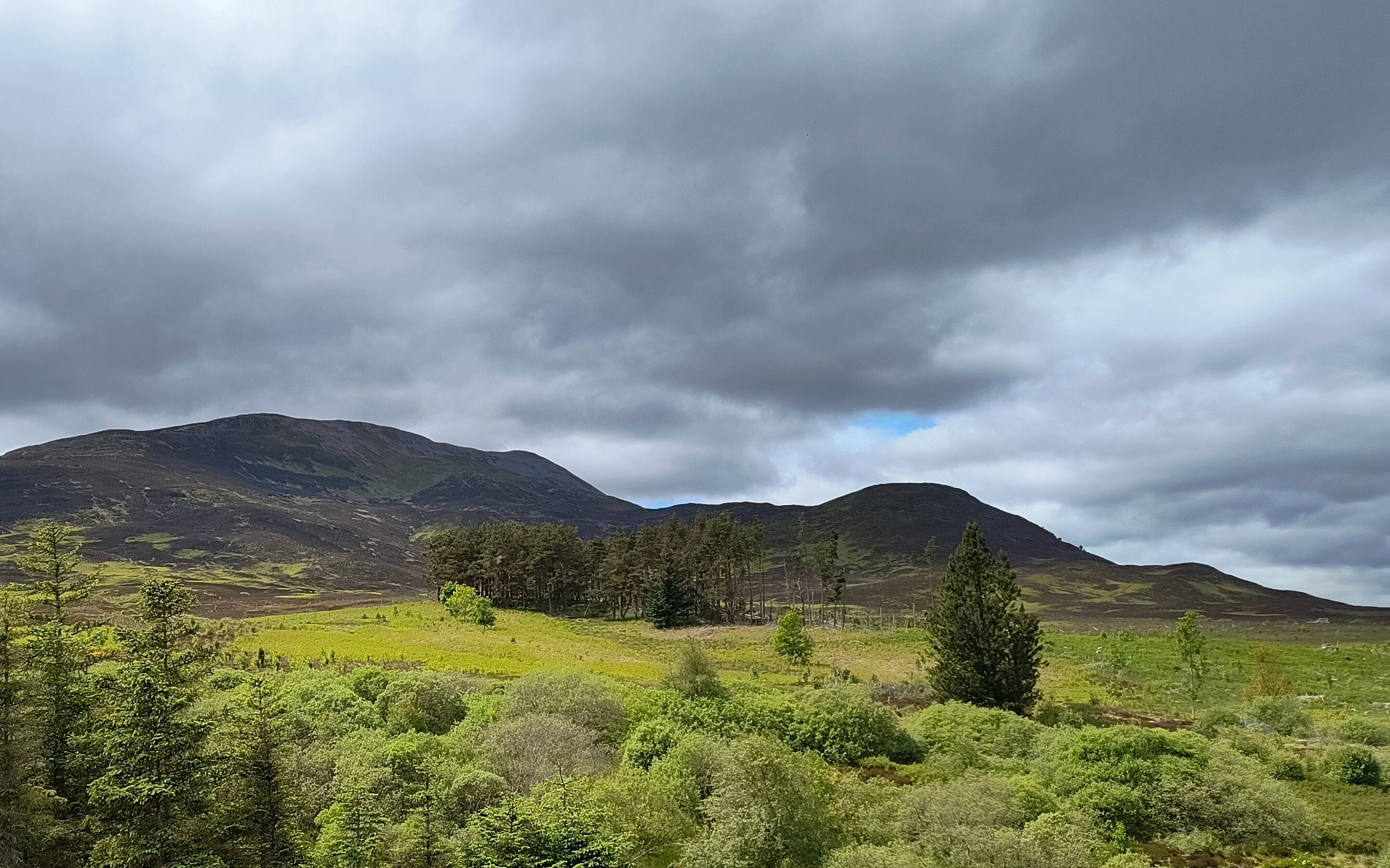 Schiehallion nearby woodland TC4