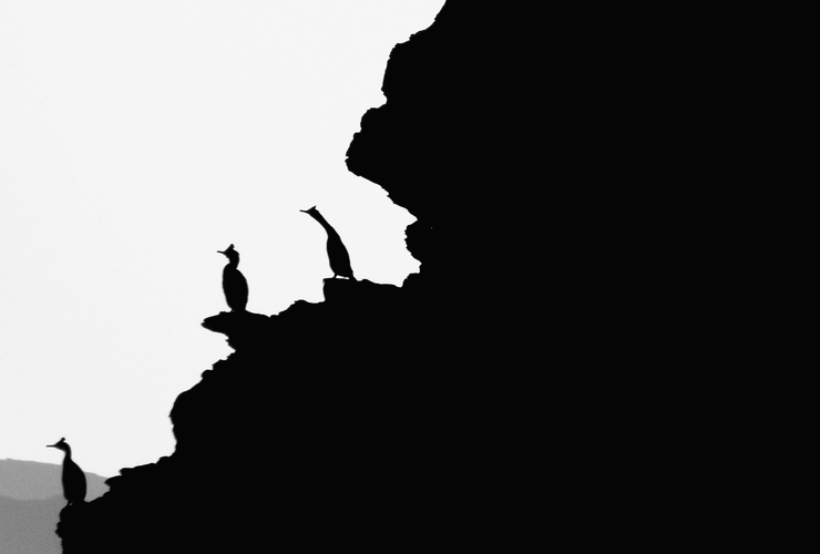 Jemma Cholawo: The Numinous