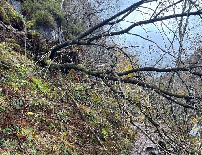Steall path storm damage