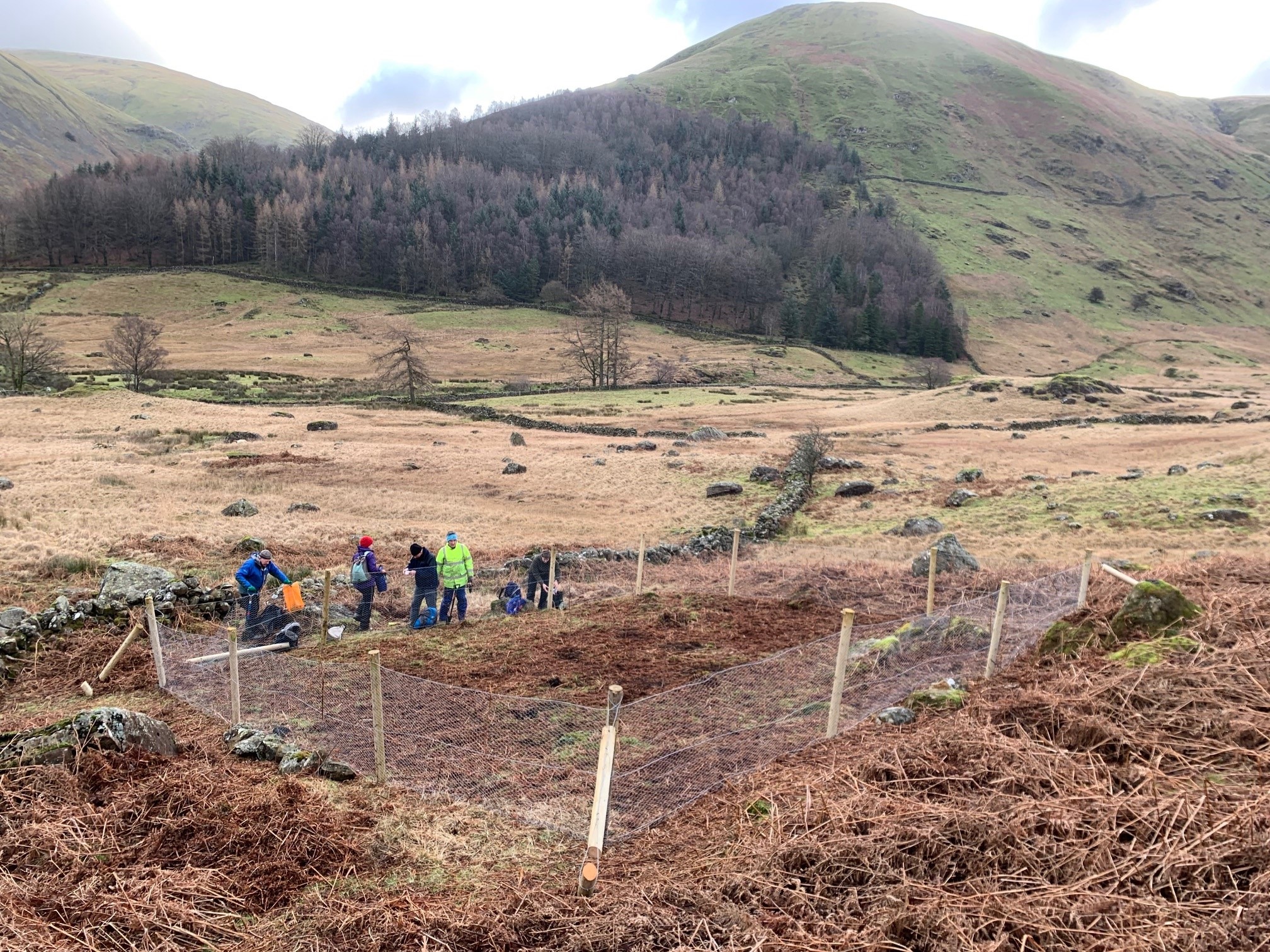 Thirlmere work party December 2023