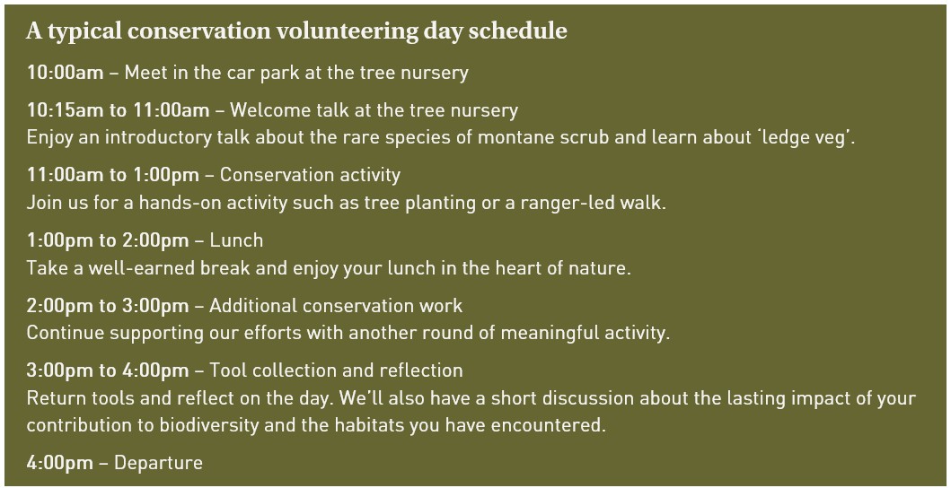 Thirlmere typical day