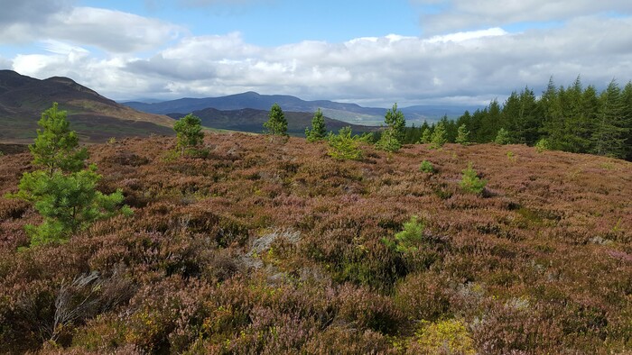 regen at schiehallion
