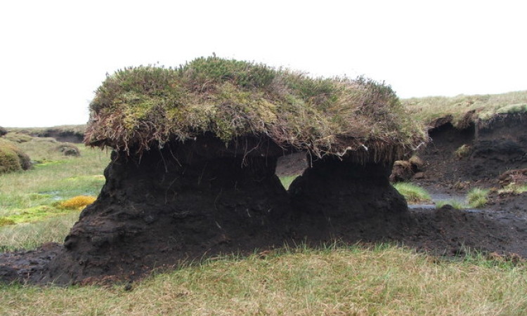 Peat Hag - Gareth Lewis - WIkimedia Commons