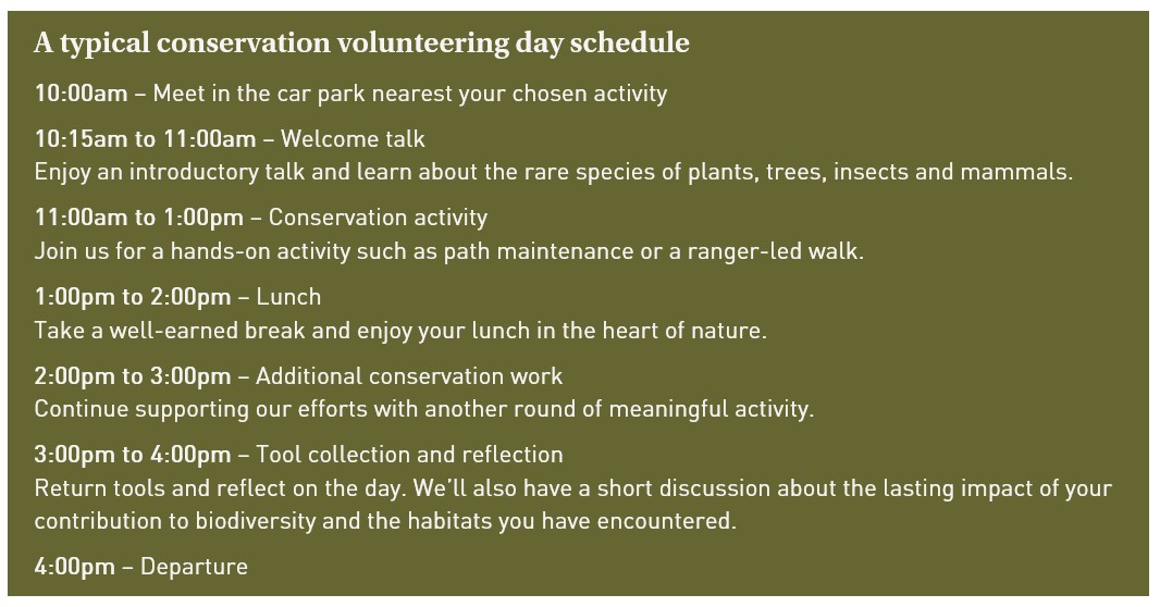 Nevis Typical Day Volunteering