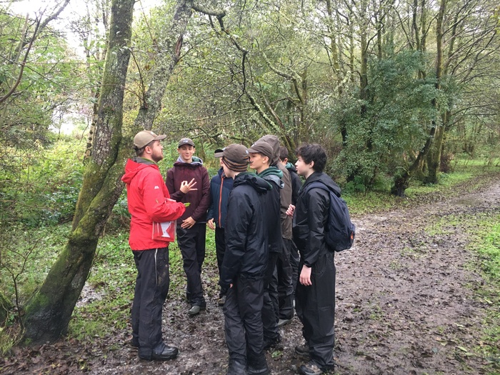 Juinor Rangers - woodland surveying