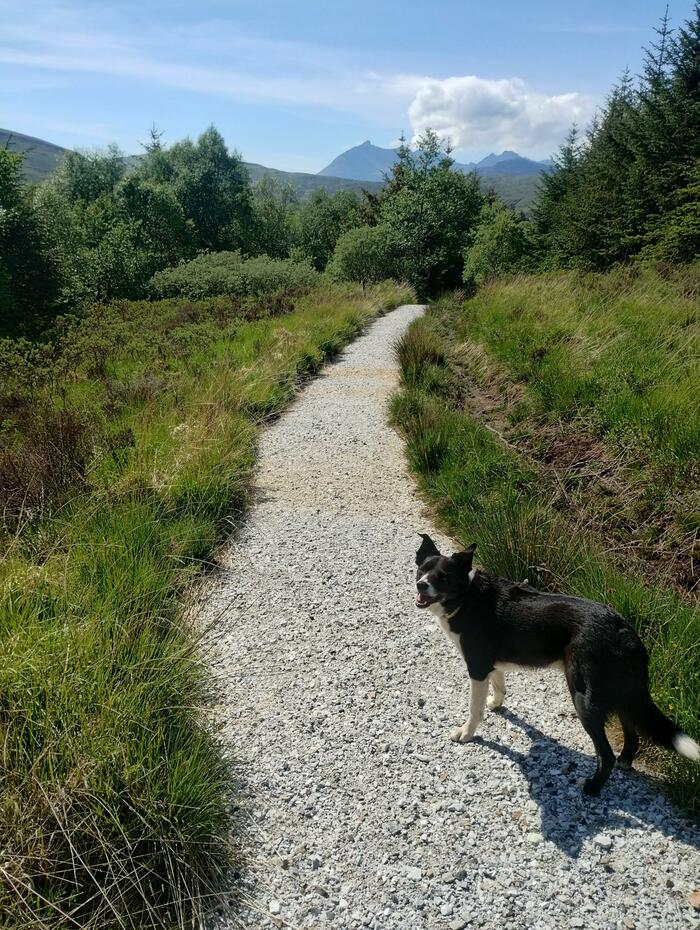 Kilmarie wool path in 2024