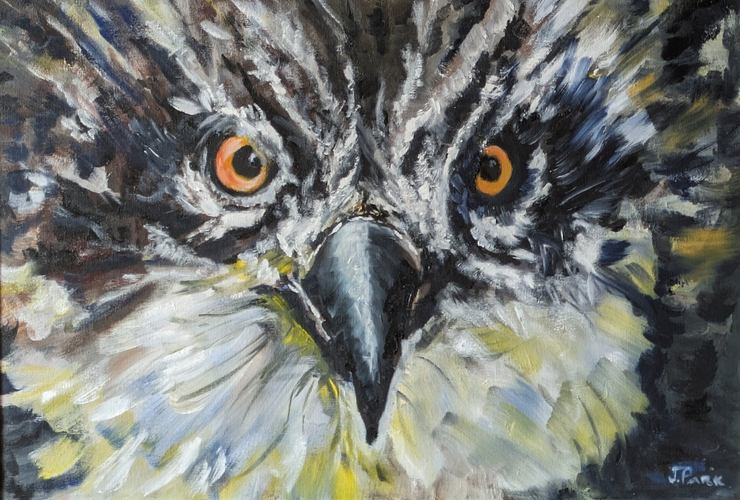 Wild Perthshire community exhbition - Jennifer Park